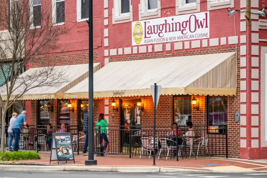 The Laughing Owl